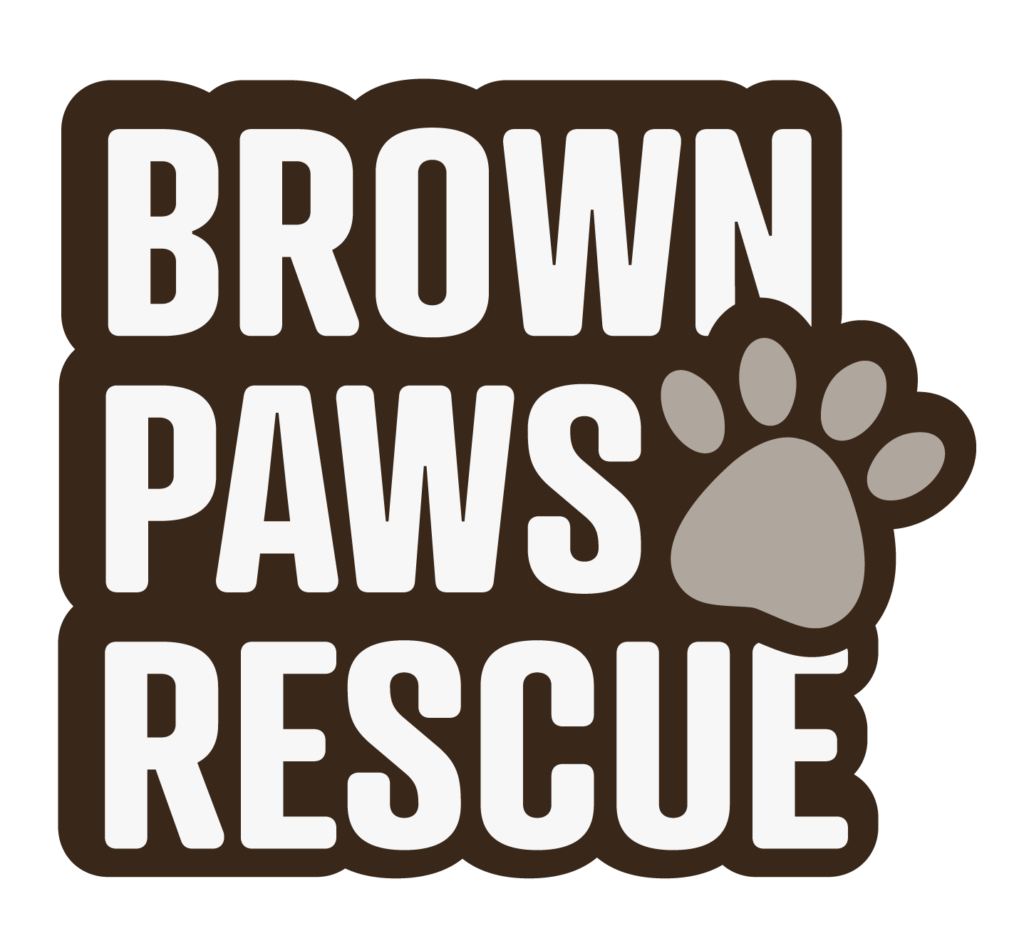 Brown Paws Rescue