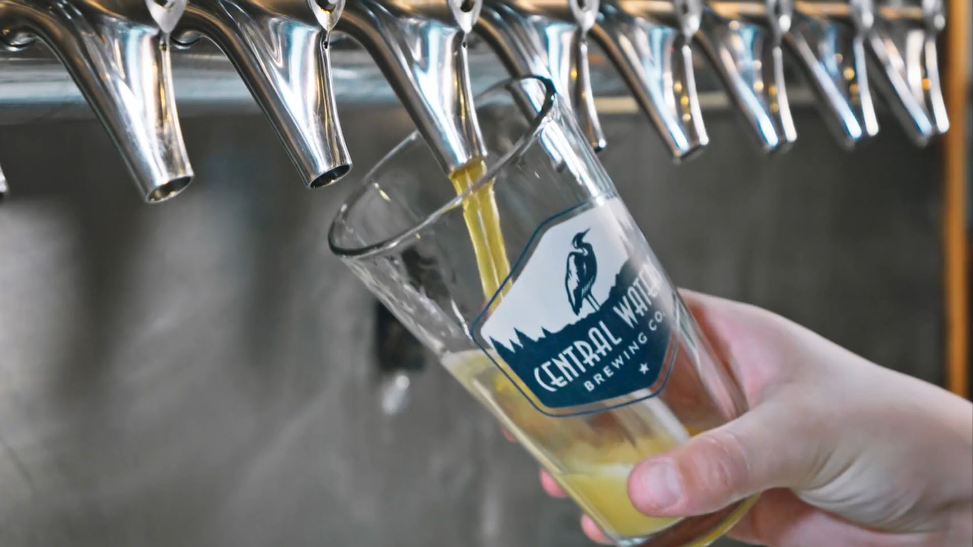 Central Waters – Craft Beer Pinball League