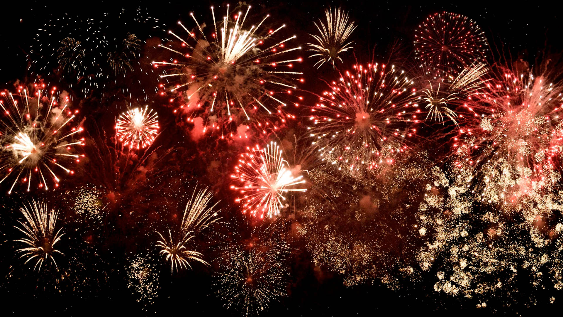 Fireworks in the night sky