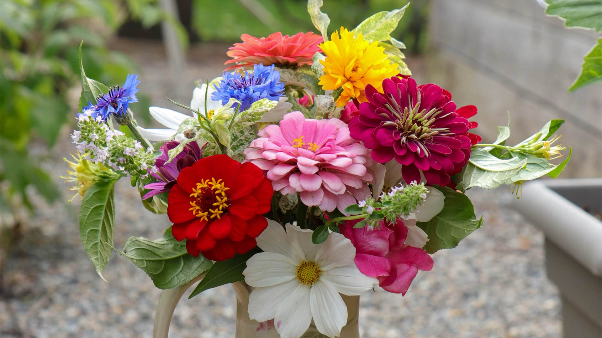 Bouquet of flowers
